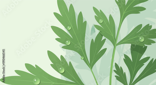Close-up of fresh green leaves with dew drops on a light green background