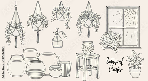 Botanical Collection of Houseplants and Pottery.