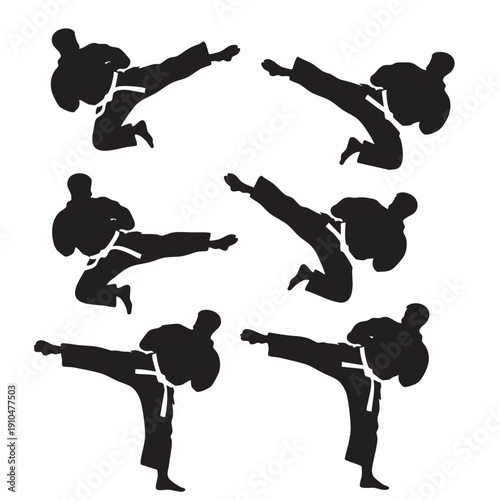Martial Arts Silhouette Collection of Karate Kick Actions and Poses
