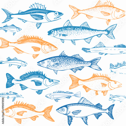Fish sketch collection. Hand drawn vector illustration. School of fish vector illustration. Food menu illustration. Hand drawn fish set.