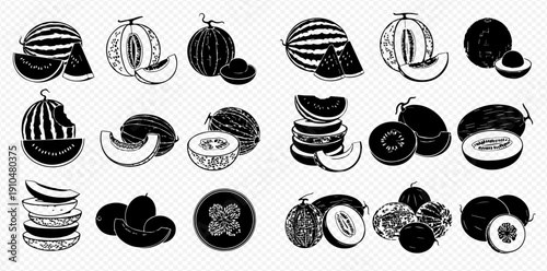Set of hand-drawn melon and watermelon illustrations in black and white, perfect for fruit-themed designs and healthy eating concepts.