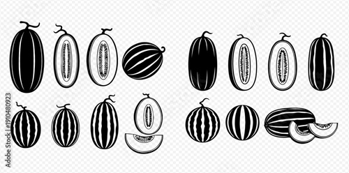 Set of various melon and watermelon illustrations in black and white, depicting whole and sliced fruits.