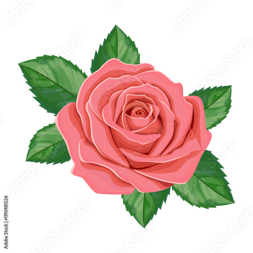 A beautiful, delicate hand-drawn rosebud on a white background. A picturesque rose with leaves for postcards, spring, and summer branding.