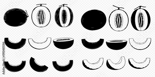 Set of hand-drawn melon illustrations, including whole, half, and sliced pieces, perfect for healthy food designs.
