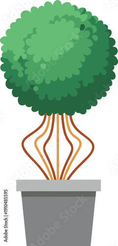 A green topiary plant with twisted brown trunk in a gray pot leaves