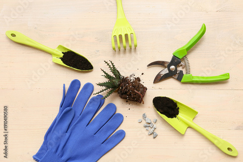 Transplanting plant and gar...