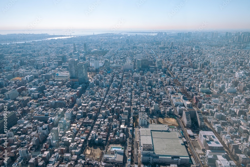 Fototapeta premium スカイツリーから撮影した東京の都市風景