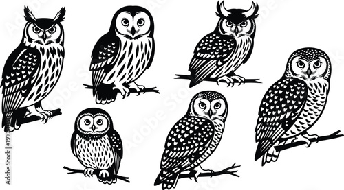 Black, owl, silhouettes, set, featuring, various, realistic, owls, perched, on, branches, isolated, on, white, background, vector, illustration, for, nature, design.