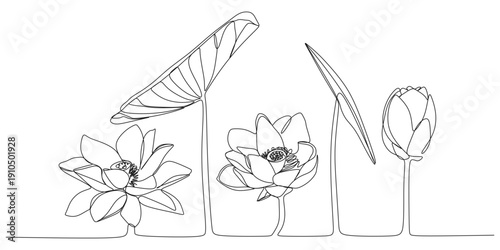 A continuous row of lotus flowers for Vesak Day