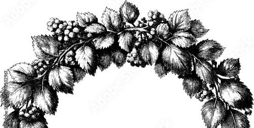 Vintage flower arch engraving - hand drawn botanical design for decorative projects