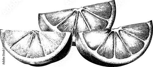 Engraved lemon slice set in bold black lines for vintage design projects