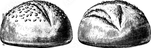 Vintage engraved illustration set of sesame buns with black bold lines for culinary design