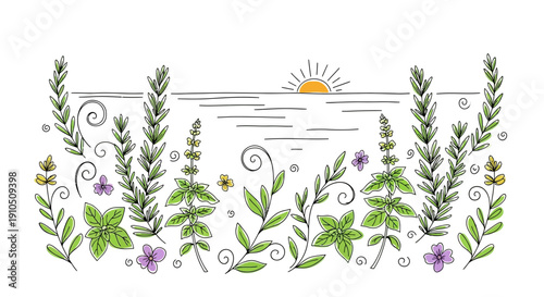 Watercolor Illustration of Lavender Plants and Sun.
