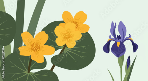 Flat illustration of marsh marigolds and a purple iris with green foliage