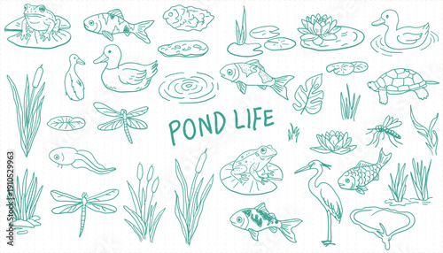 Collection of hand-drawn pond life elements, frogs, fish, ducks, dragonflies, plants, and water creatures sketch set