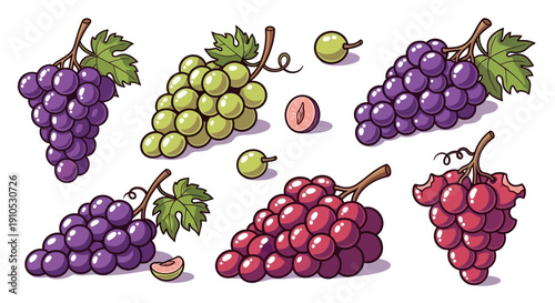 Set of colorful grape bunches and slices isolated on white background, vector cartoon illustration