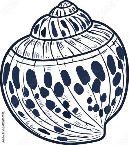 Detailed seashell illustration, spiral shell vector, textured marine artwork, ocean nature design, hand drawn ink style, decorative coastal icon drawing