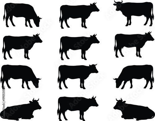 Cow silhouettes grid with standing and lying poses, farm animal vector icons, livestock shapes for agriculture, dairy, ranch illustrations