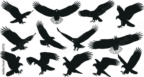 Black eagle silhouette vector illustrations, flying and landing poses, creative bird art designs, bald eagle details, tattoo graphics, logo inspiration