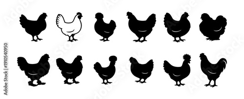 Chicken Breed Silhouettes in Side View – Black Poultry Profiles on White Background