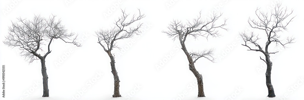 Fototapeta premium Four leafless winter trees standing in fresh snow, stark minimalist panorama of twisted trunks and bare branches evoking quiet melancholic solitude