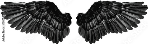 Detailed black wings illustration, symmetrical feather vector design, fantasy artwork icon, freedom flight symbol, dramatic silhouette drawing, layered texture style