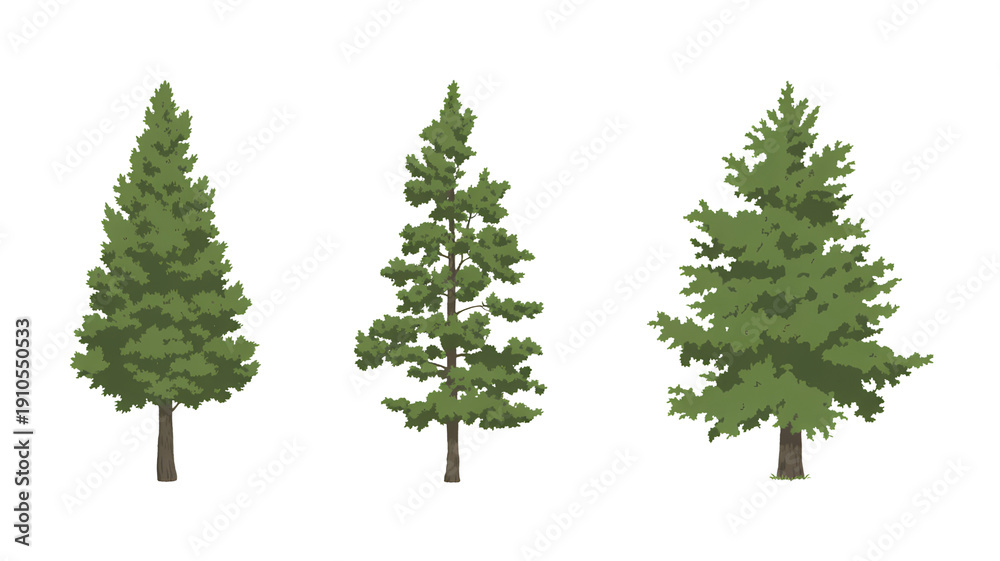 Fototapeta premium set of green trees isolated