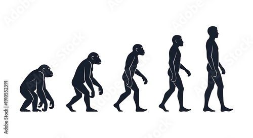 Human Evolution Theory Silhouette Sequence from Ape to Man
