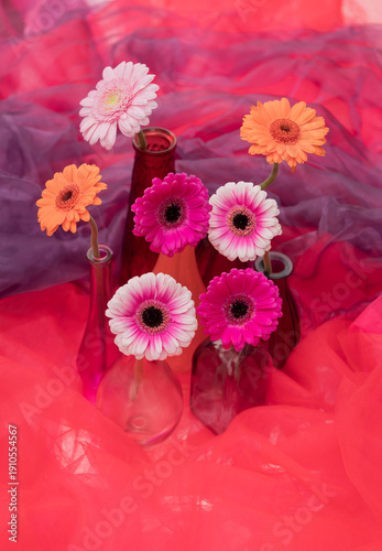 Colorful gerbera daisy flowers arranged in glass bottles with vibrant fabric backdrop