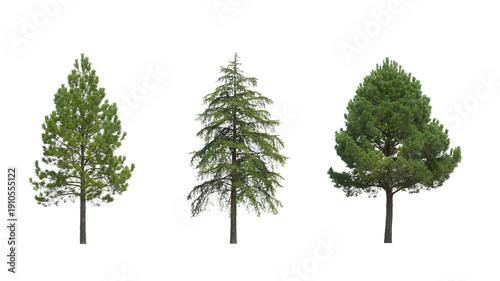 green pine tree isolated on white