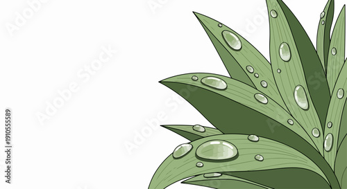 Lush green leaves with sparkling water drops on fresh plant foliage, creating refreshing natural scene. Close up on green leaves reveals individual droplets,