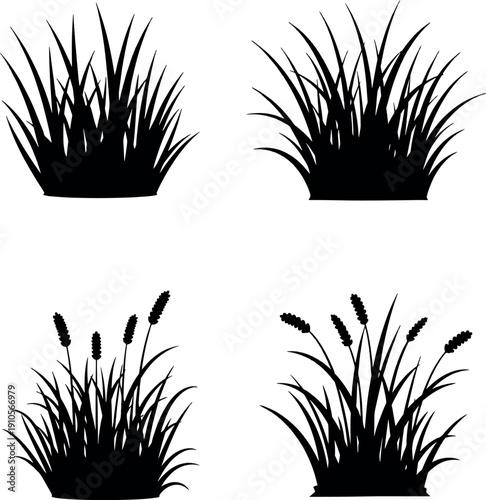 Set of Black Grass Tuft and Plant Silhouettes Isolated on White
