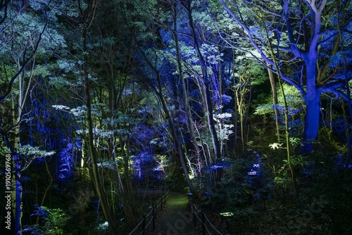 北茨城市　チームラボ 幽谷隠田跡