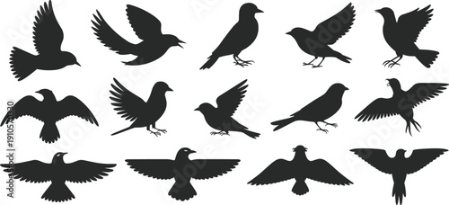 Set of black flying bird silhouette vector icons collection isolated on white background for wildlife design, nature branding, logos, posters, and creative projects