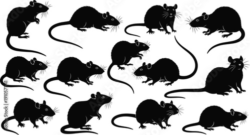 Black rat silhouettes in twelve unique poses, rodent vector illustration for pest control, wildlife research, laboratory design, animal art