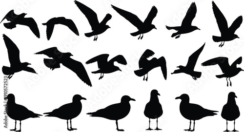 Seagull silhouette vector illustration, flying and standing bird poses, decorative black shapes, coastal wildlife design, abstract avian artwork motif