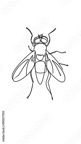 Wallpaper Mural Simple line art of a fly with big eyes, wings spread, isolated on a plain white background Torontodigital.ca