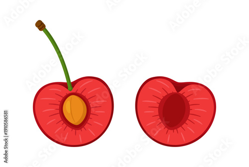 Two cherry halves one with stem and pit, and one without. Hand drawn trendy flat style. Ideal for food design, packaging, menus, stickers, and healthy lifestyle themes. Vector illustration