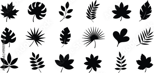 Leaf silhouette illustration set, twenty black icons varied foliage broad palm compound shapes botanical design, vector artwork, nature and environmental theme, isolated background