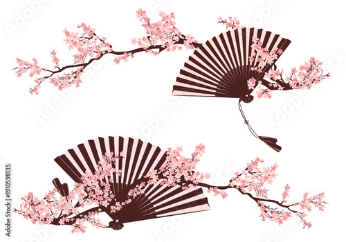traditional japanese foldable hand fan among springtime cherry tree flowers -  long horizontal blooming sakura branch vector hanami design