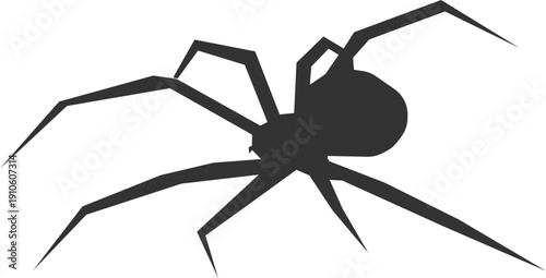 Silhouette of a large spider with long legs against a black background, symbolizing fear