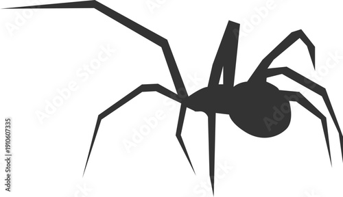 Silhouette of a spider with long legs against a stark black background