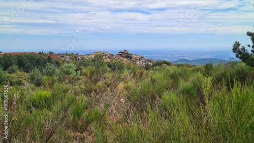 Quadro em tela Les bords du plateau du Caroux et ses magnifiques paysages de landes de genêts (