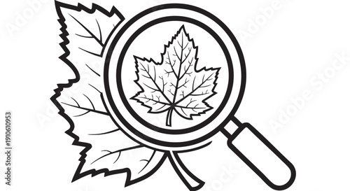 Magnifying glass examining a detailed leaf illustration with botanical precision