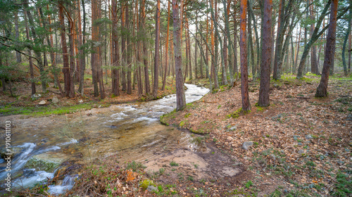 Schilderij op canvas Footpath of Las Pesquerías, Sierra de Guadarrama National Park, Segovia, Spain,