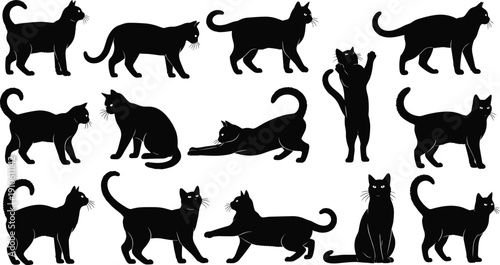 Black cat silhouette illustrations in diverse poses, walking, sitting, stretching, standing, lying down, perfect for Halloween, pet design, animal art, decoration, and stock assets