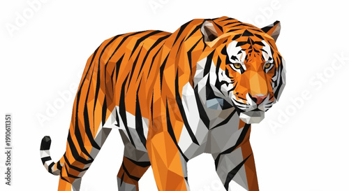 Majestic orange tiger with black stripes walking on white background.