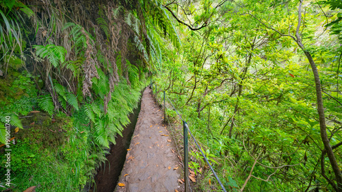 Levada do Caldeirao Verde, Parque Forestal Das Queimadas, Madeira, Portugal, Europe