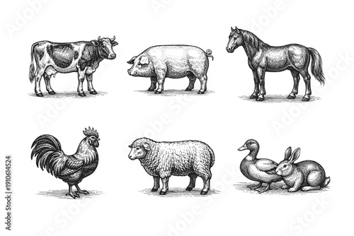Vintage farm animals engraving set, retro livestock and poultry sketches in woodcut style