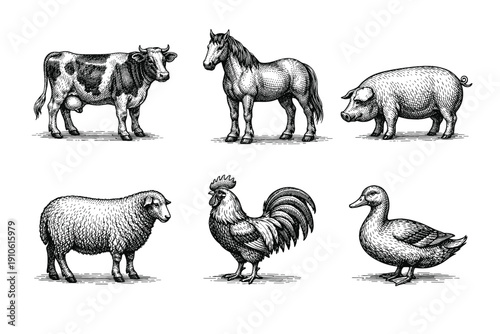 Vintage farm animals engraving set, retro livestock and poultry sketches in woodcut style